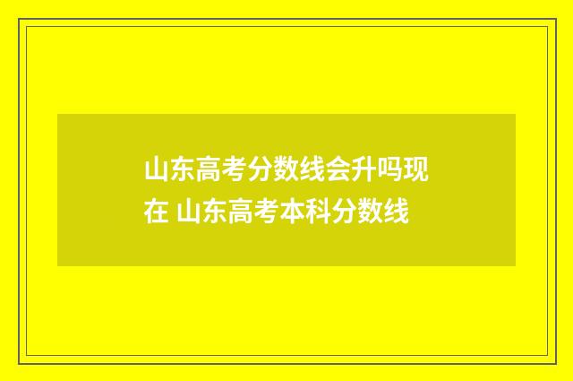 山东高考分数线会升吗现在 山东高考本科分数线