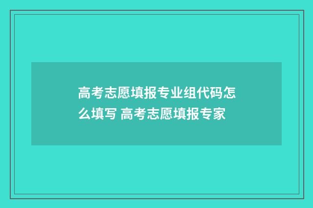高考志愿填报专业组代码怎么填写 高考志愿填报专家