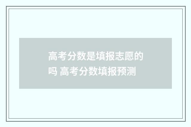 高考分数是填报志愿的吗 高考分数填报预测