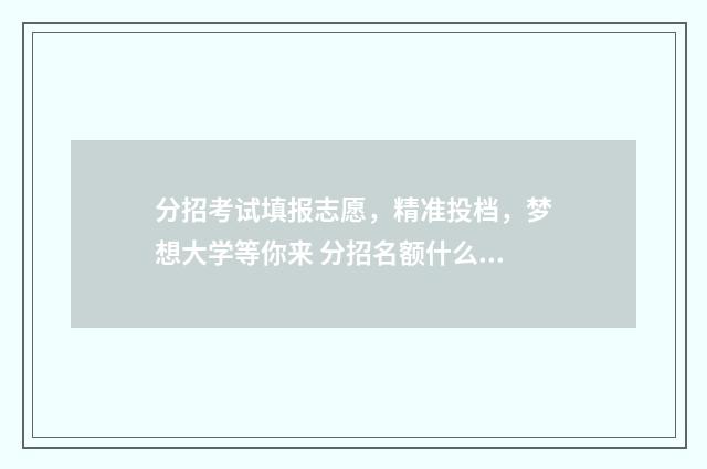 分招考试填报志愿，精准投档，梦想大学等你来 分招名额什么意思