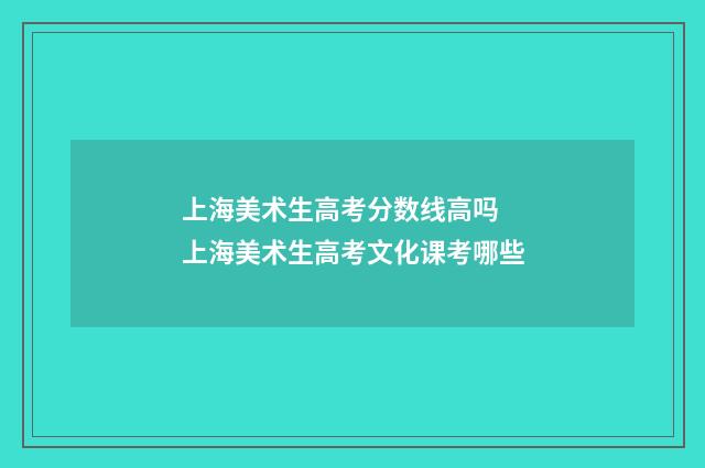 上海美术生高考分数线高吗 上海美术生高考文化课考哪些