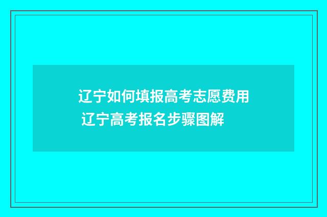 辽宁如何填报高考志愿费用 辽宁高考报名步骤图解