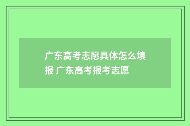 广东高考志愿具体怎么填报 广东高考报考志愿