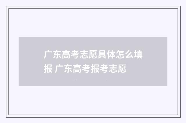 广东高考志愿具体怎么填报 广东高考报考志愿