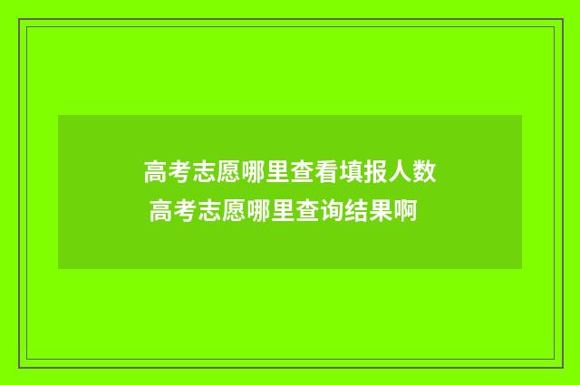高考志愿哪里查看填报人数 高考志愿哪里查询结果啊