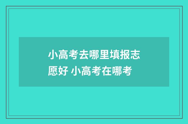 小高考去哪里填报志愿好 小高考在哪考
