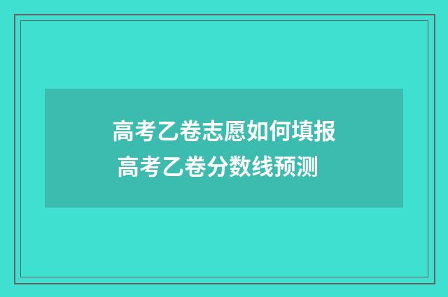 高考乙卷志愿如何填报 高考乙卷分数线预测