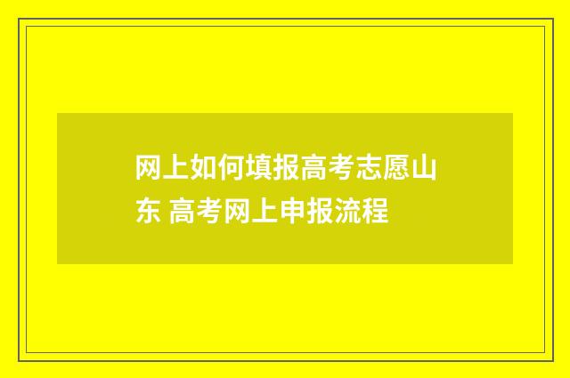 网上如何填报高考志愿山东 高考网上申报流程