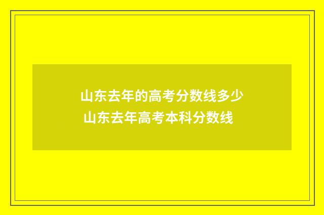 山东去年的高考分数线多少 山东去年高考本科分数线