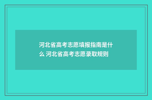 河北省高考志愿填报指南是什么 河北省高考志愿录取规则