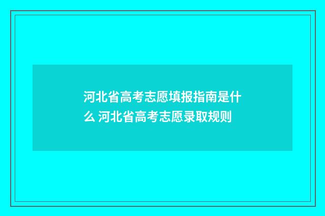 河北省高考志愿填报指南是什么 河北省高考志愿录取规则