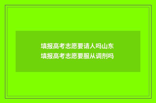填报高考志愿要请人吗山东 填报高考志愿要服从调剂吗