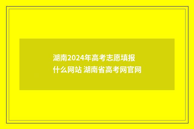 湖南2024年高考志愿填报什么网站 湖南省高考网官网