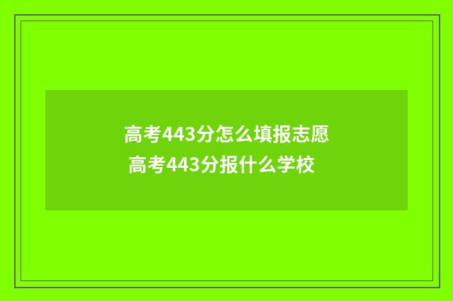 高考443分怎么填报志愿 高考443分报什么学校