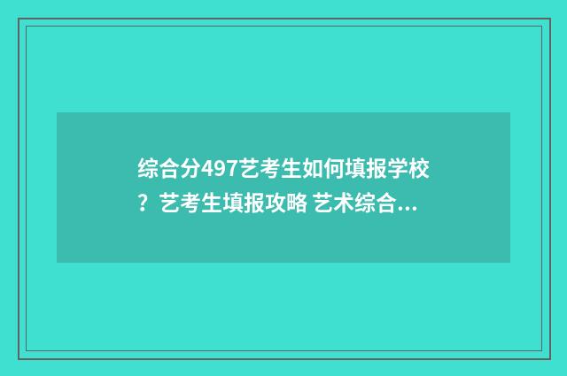 综合分497艺考生如何填报学校？艺考生填报攻略 艺术综合分480