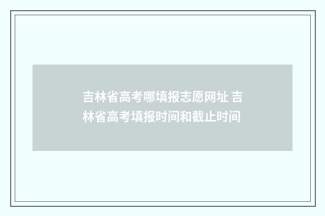 吉林省高考哪填报志愿网址 吉林省高考填报时间和截止时间