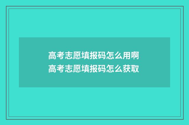 高考志愿填报码怎么用啊 高考志愿填报码怎么获取