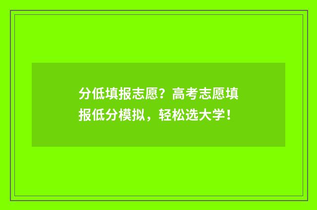 分低填报志愿？高考志愿填报低分模拟，轻松选大学！