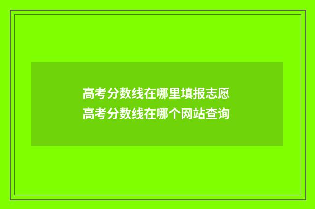 高考分数线在哪里填报志愿 高考分数线在哪个网站查询