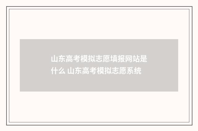 山东高考模拟志愿填报网站是什么 山东高考模拟志愿系统
