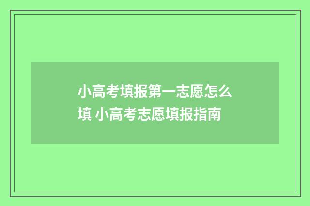小高考填报第一志愿怎么填 小高考志愿填报指南