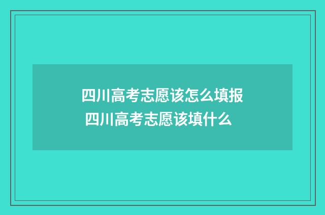 四川高考志愿该怎么填报 四川高考志愿该填什么