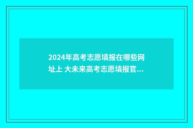 2024年高考志愿填报在哪些网址上 大未来高考志愿填报官网