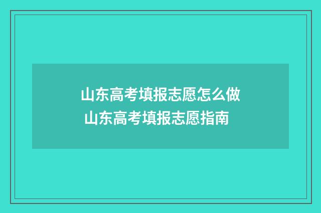 山东高考填报志愿怎么做 山东高考填报志愿指南