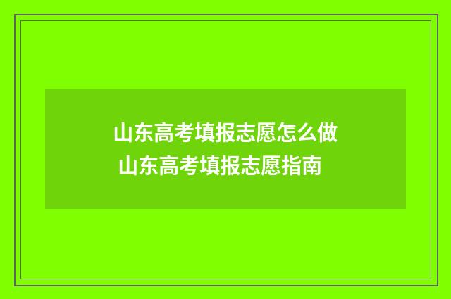 山东高考填报志愿怎么做 山东高考填报志愿指南