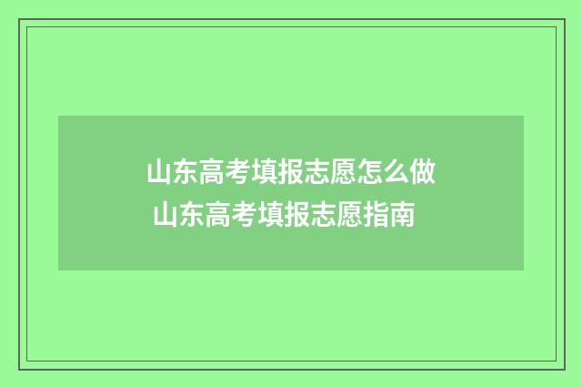 山东高考填报志愿怎么做 山东高考填报志愿指南