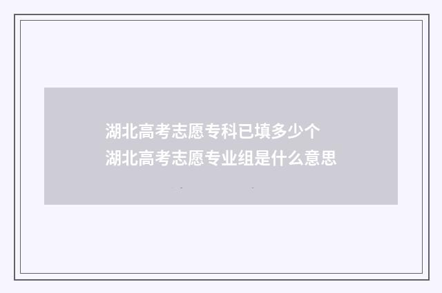 湖北高考志愿专科已填多少个 湖北高考志愿专业组是什么意思