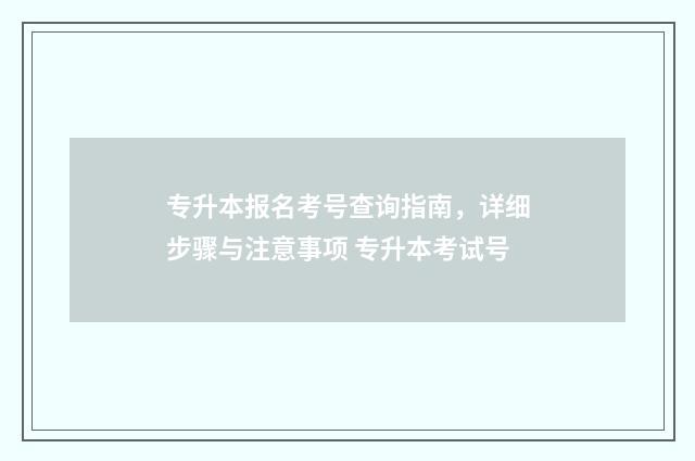 专升本报名考号查询指南，详细步骤与注意事项 专升本考试号