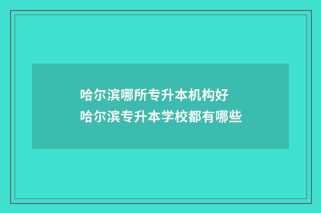 哈尔滨哪所专升本机构好 哈尔滨专升本学校都有哪些