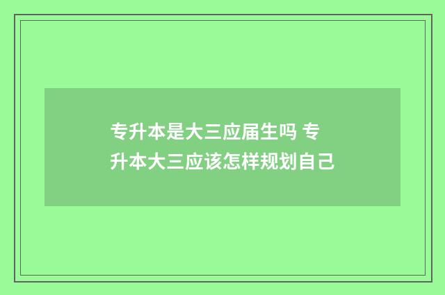 专升本是大三应届生吗 专升本大三应该怎样规划自己