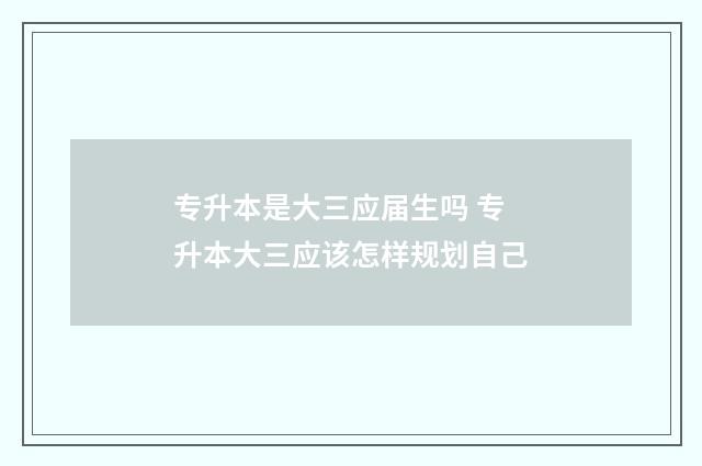 专升本是大三应届生吗 专升本大三应该怎样规划自己