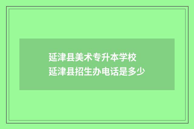 延津县美术专升本学校 延津县招生办电话是多少