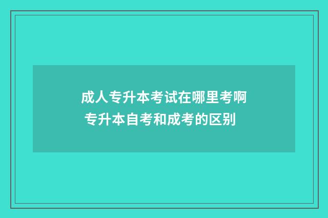成人专升本考试在哪里考啊 专升本自考和成考的区别