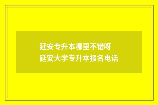 延安专升本哪里不错呀 延安大学专升本报名电话