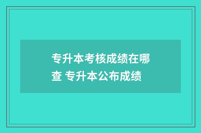 专升本考核成绩在哪查 专升本公布成绩