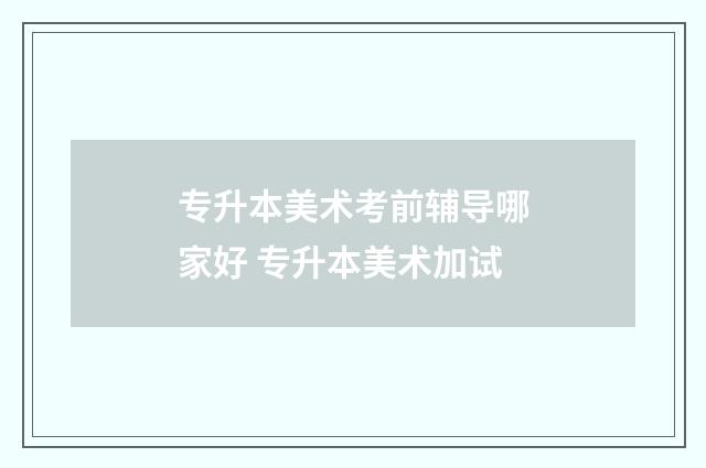 专升本美术考前辅导哪家好 专升本美术加试