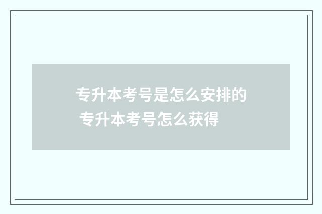 专升本考号是怎么安排的 专升本考号怎么获得