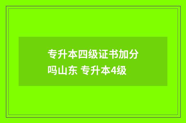 专升本四级证书加分吗山东 专升本4级