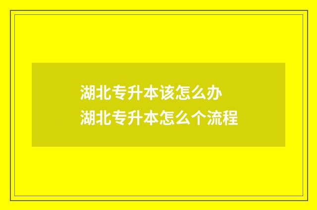 湖北专升本该怎么办 湖北专升本怎么个流程