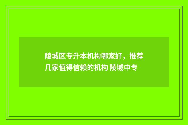 陵城区专升本机构哪家好，推荐几家值得信赖的机构 陵城中专