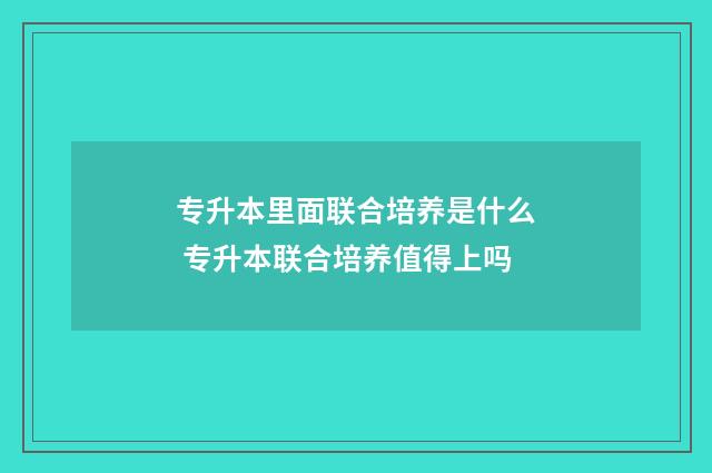 专升本里面联合培养是什么 专升本联合培养值得上吗