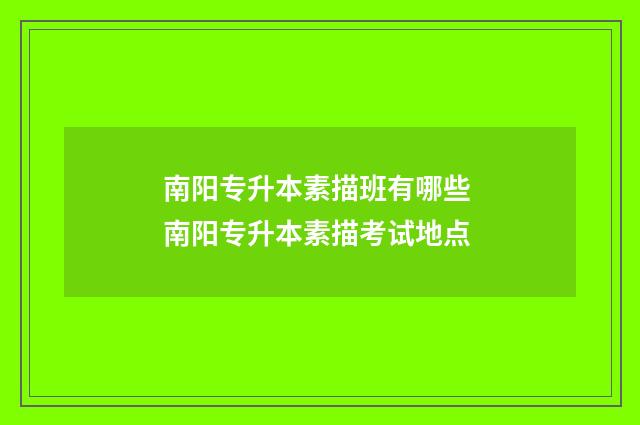 南阳专升本素描班有哪些 南阳专升本素描考试地点