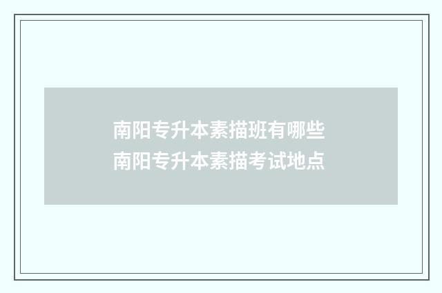 南阳专升本素描班有哪些 南阳专升本素描考试地点