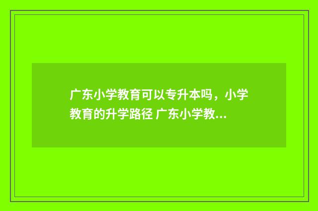 广东小学教育可以专升本吗，小学教育的升学路径 广东小学教育可以插本护理学吗