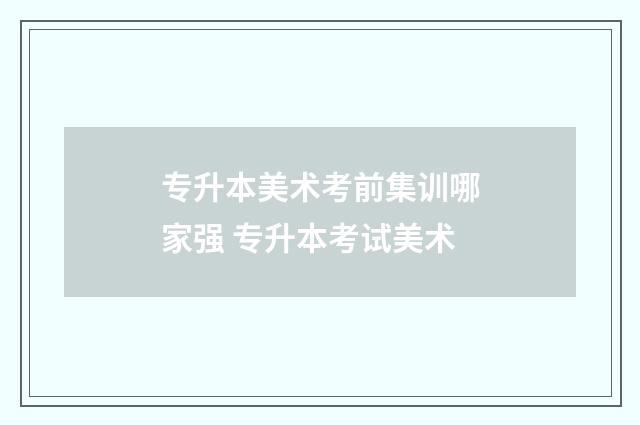专升本美术考前集训哪家强 专升本考试美术