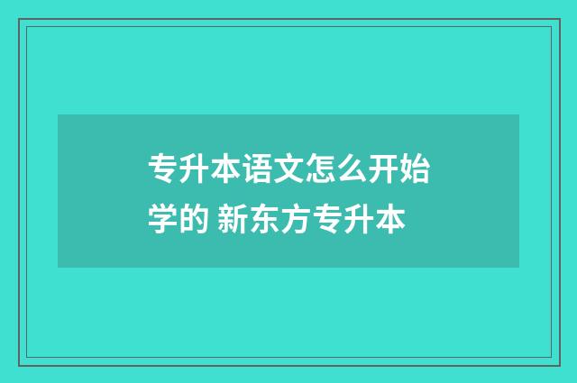 专升本语文怎么开始学的 新东方专升本